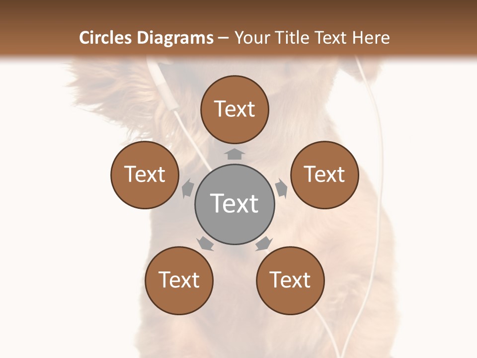 Young Puppy Listening To Music On Headphones. PowerPoint Template