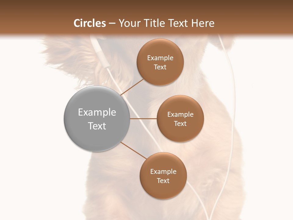 Young Puppy Listening To Music On Headphones. PowerPoint Template