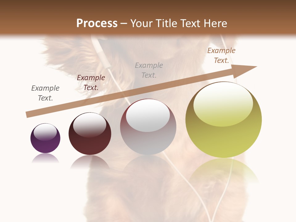 Young Puppy Listening To Music On Headphones. PowerPoint Template