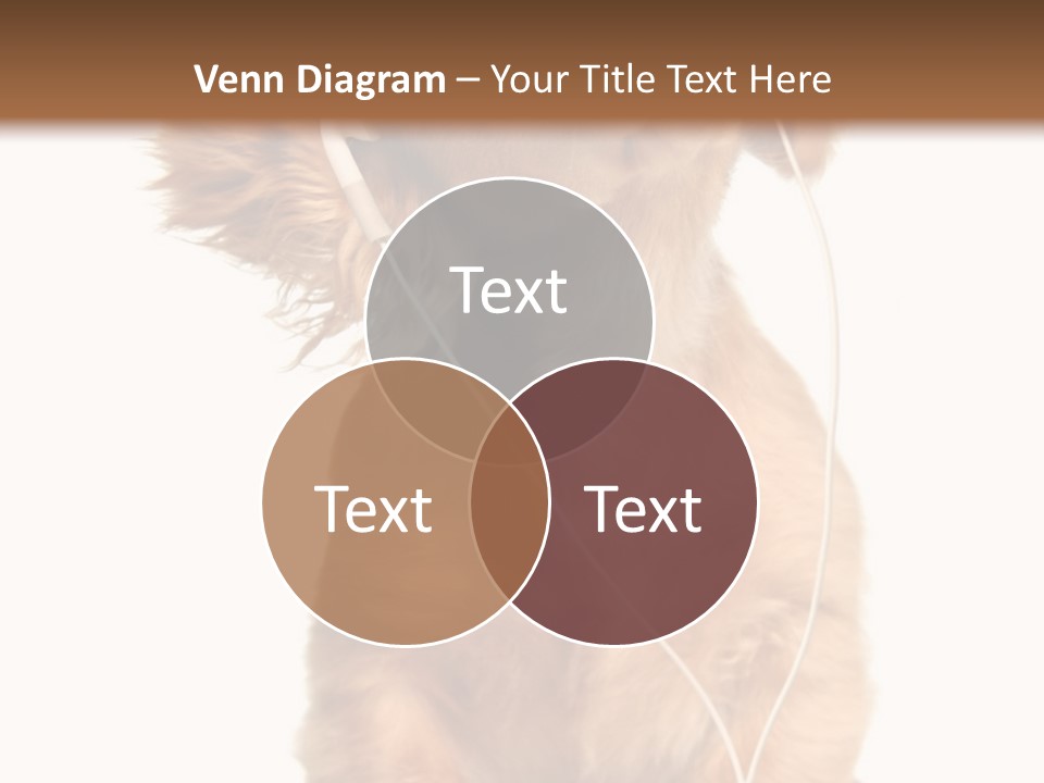Young Puppy Listening To Music On Headphones. PowerPoint Template