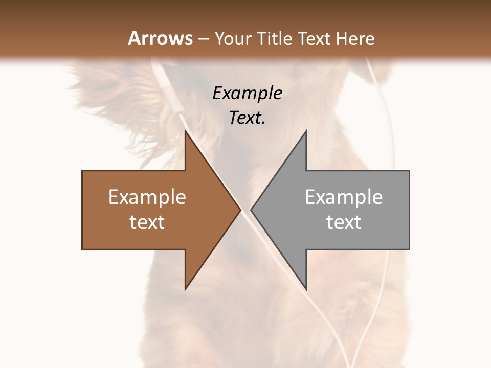 Young Puppy Listening To Music On Headphones. PowerPoint Template