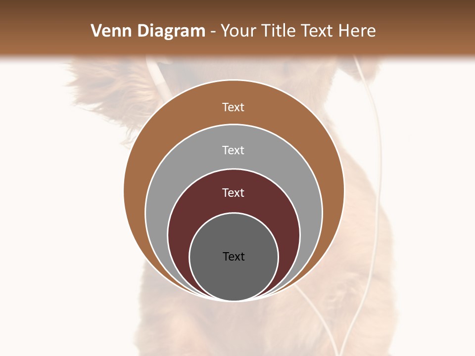 Young Puppy Listening To Music On Headphones. PowerPoint Template