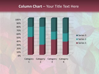 Tropical Zoom Light PowerPoint Template