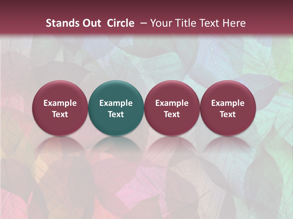 Tropical Zoom Light PowerPoint Template