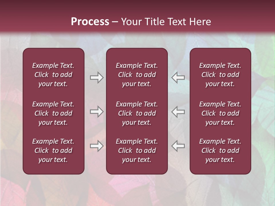 Tropical Zoom Light PowerPoint Template
