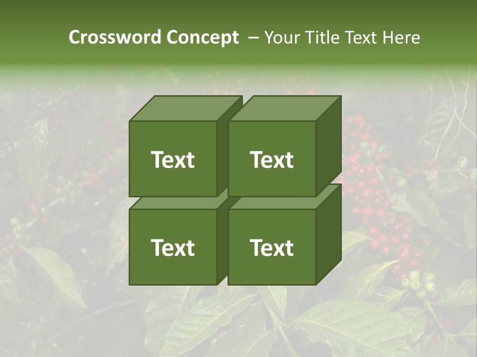 Ripe Coffee Berries PowerPoint Template