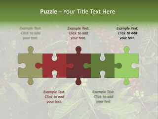 Ripe Coffee Berries PowerPoint Template