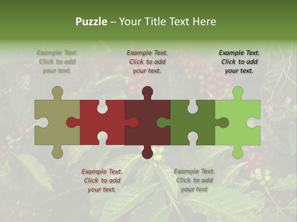 Ripe Coffee Berries PowerPoint Template