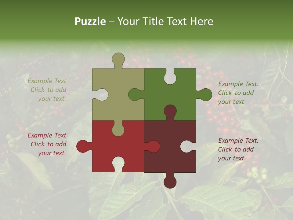 Ripe Coffee Berries PowerPoint Template