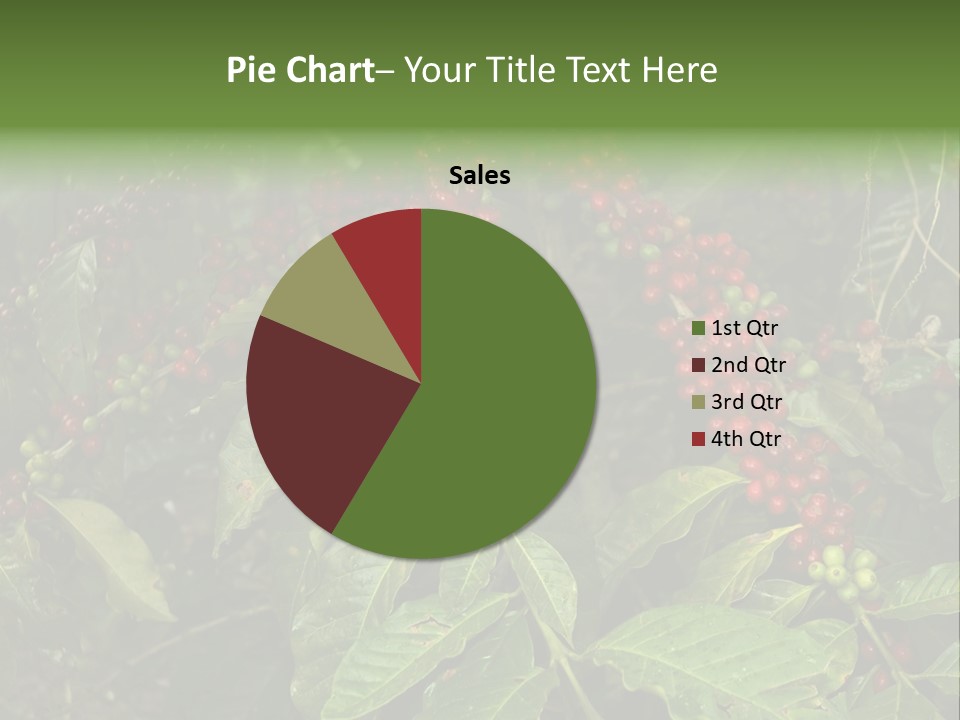 Ripe Coffee Berries PowerPoint Template