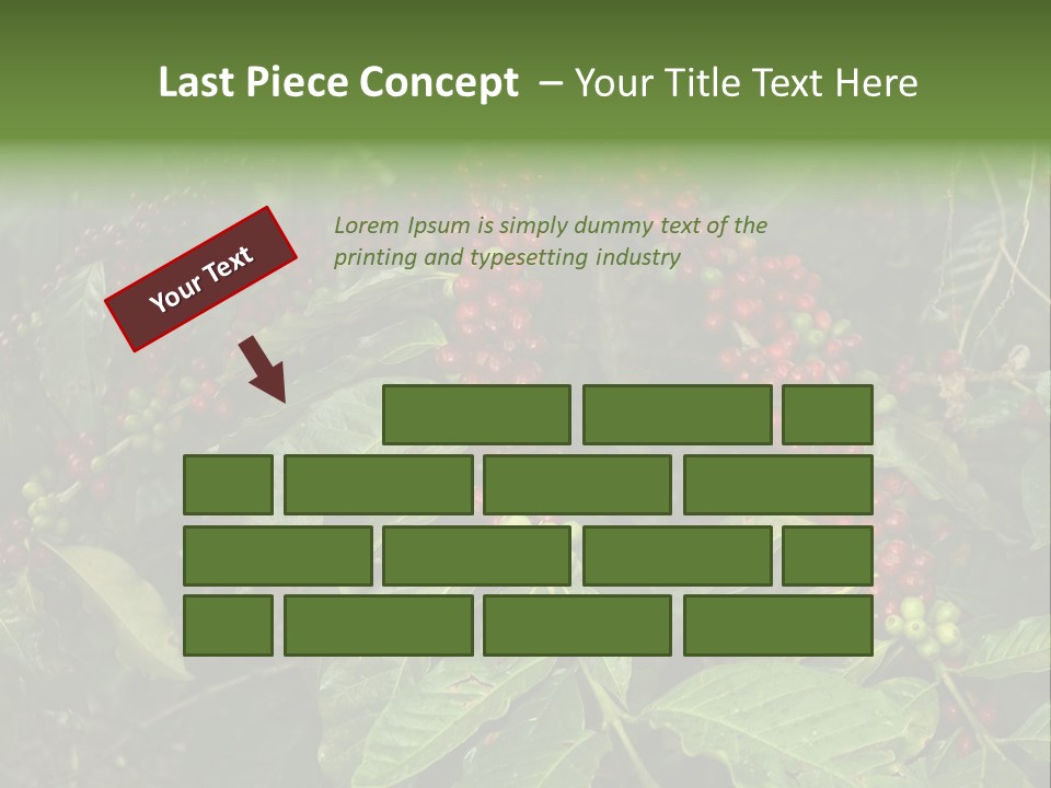 Ripe Coffee Berries PowerPoint Template