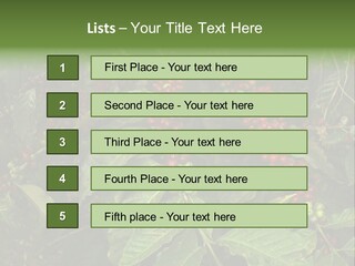 Ripe Coffee Berries PowerPoint Template