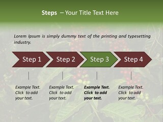 Ripe Coffee Berries PowerPoint Template