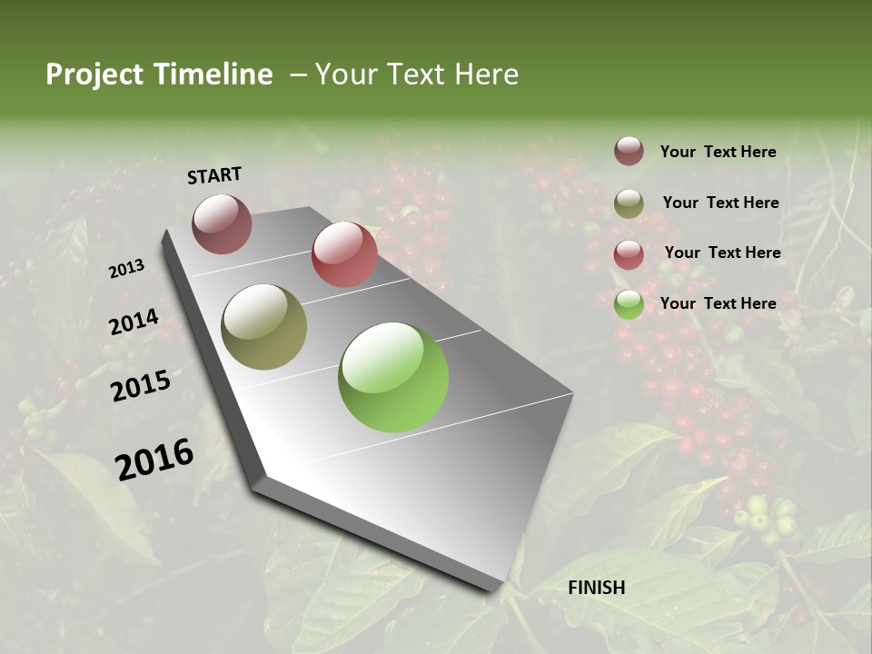 Ripe Coffee Berries PowerPoint Template