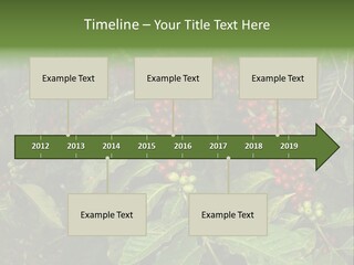 Ripe Coffee Berries PowerPoint Template