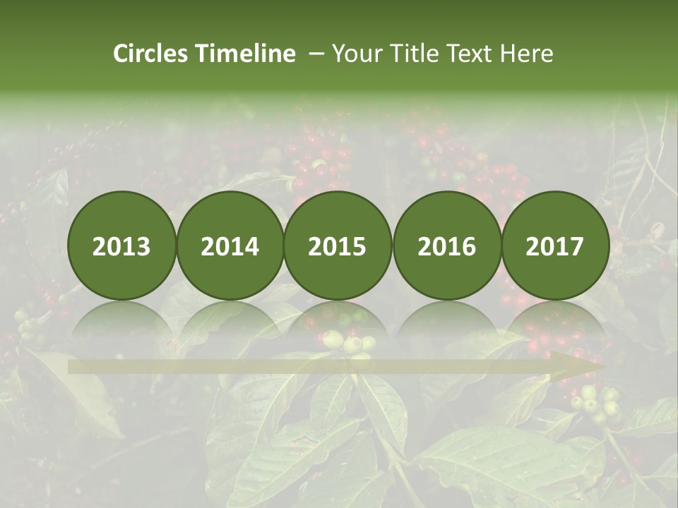 Ripe Coffee Berries PowerPoint Template