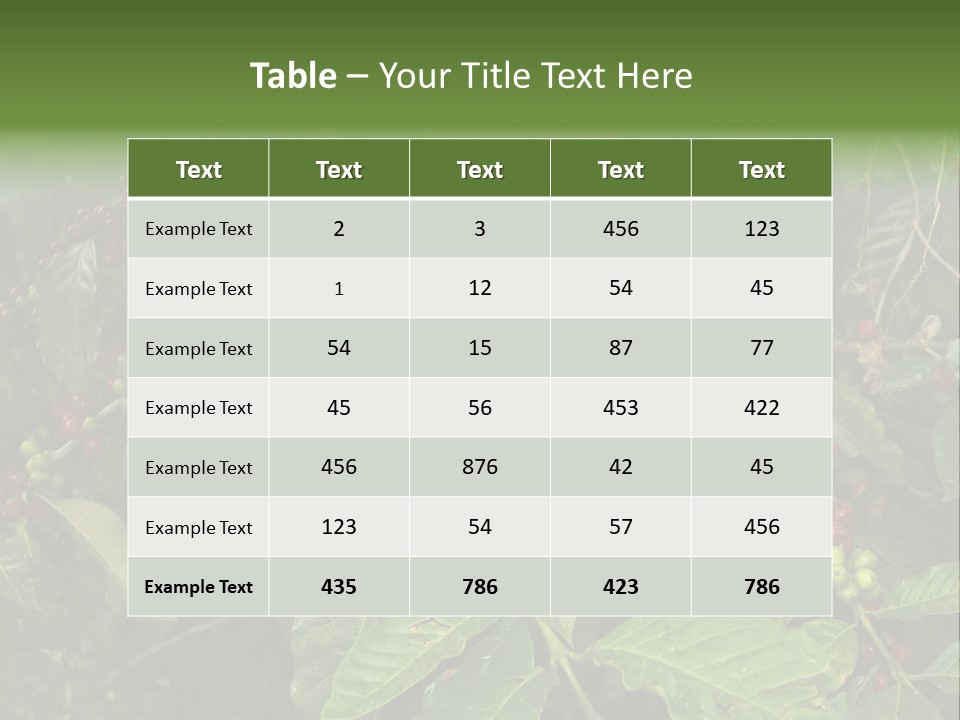 Ripe Coffee Berries PowerPoint Template