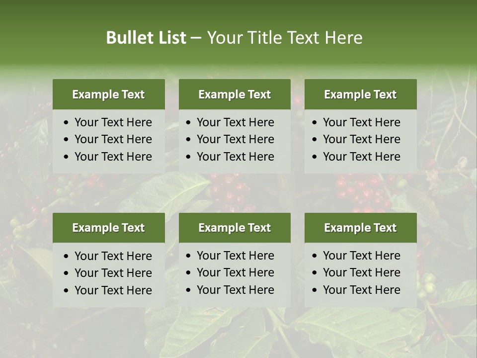 Ripe Coffee Berries PowerPoint Template