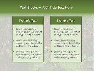 Ripe Coffee Berries PowerPoint Template