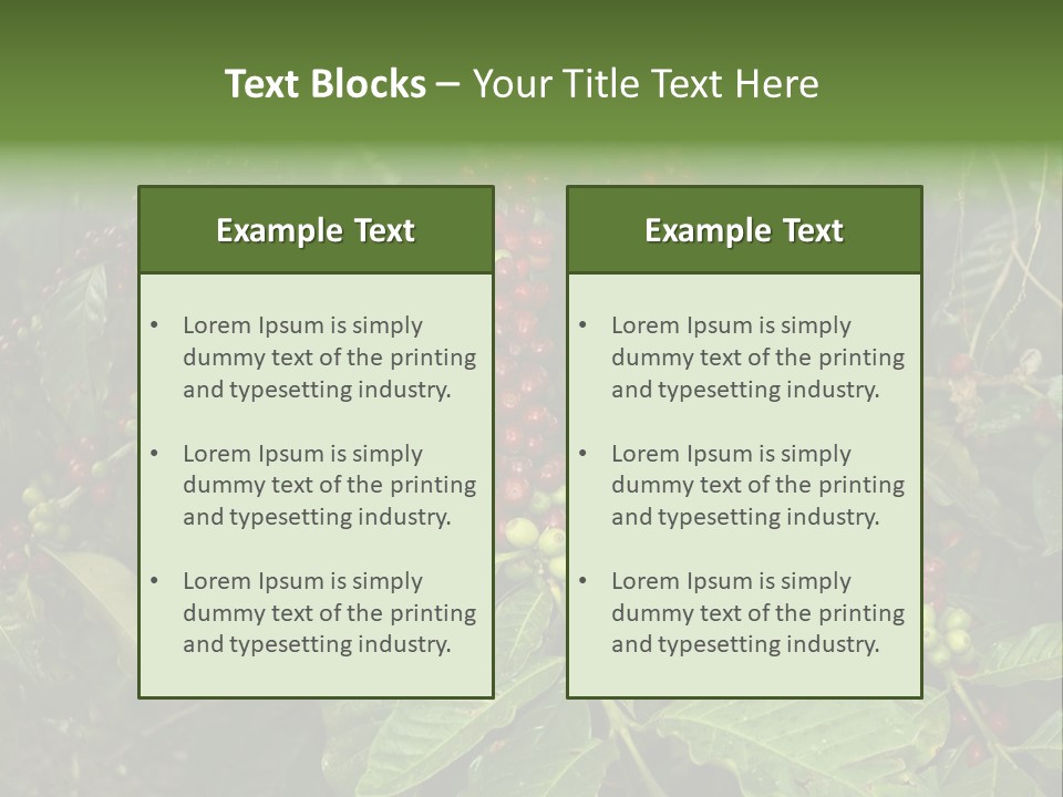 Ripe Coffee Berries PowerPoint Template