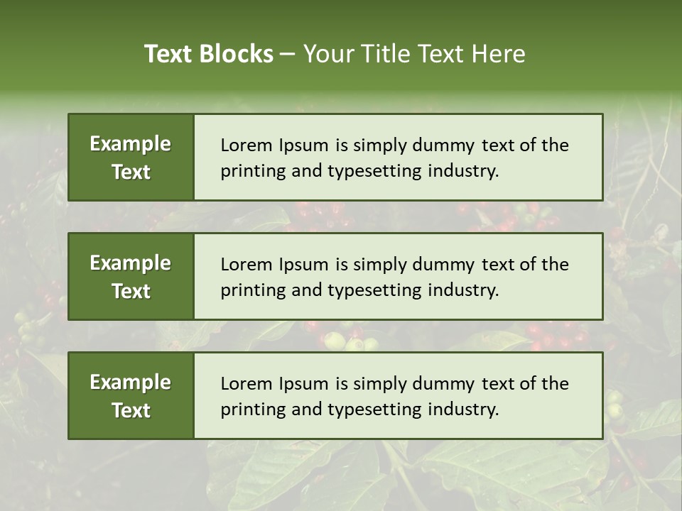 Ripe Coffee Berries PowerPoint Template