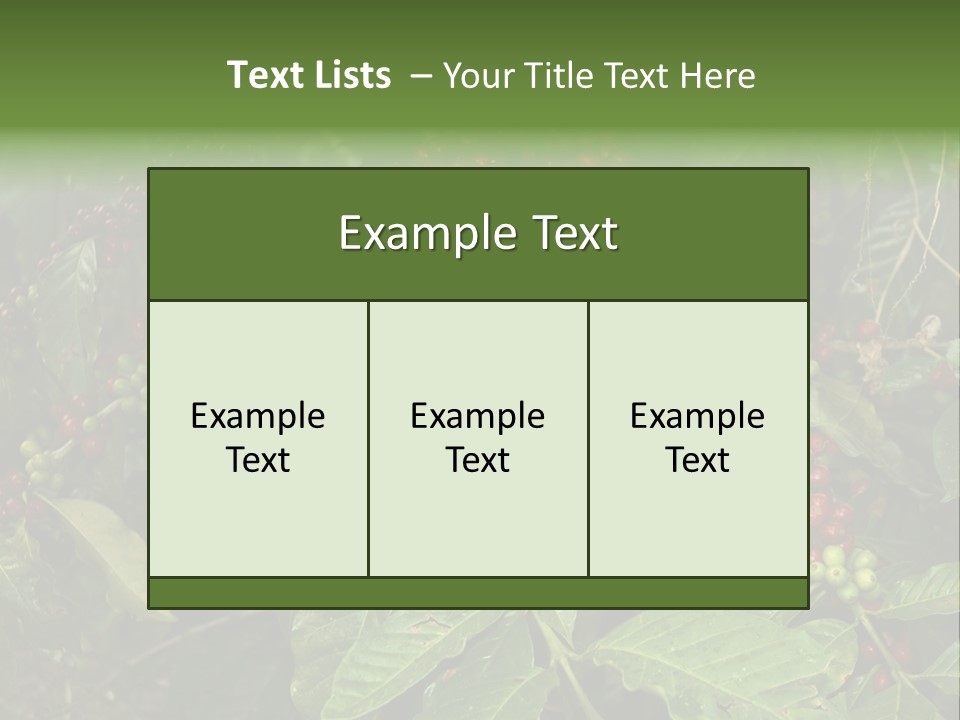 Ripe Coffee Berries PowerPoint Template