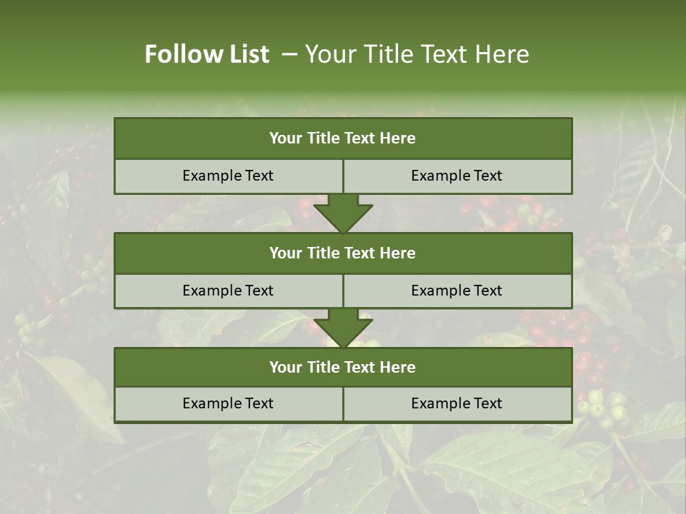 Ripe Coffee Berries PowerPoint Template