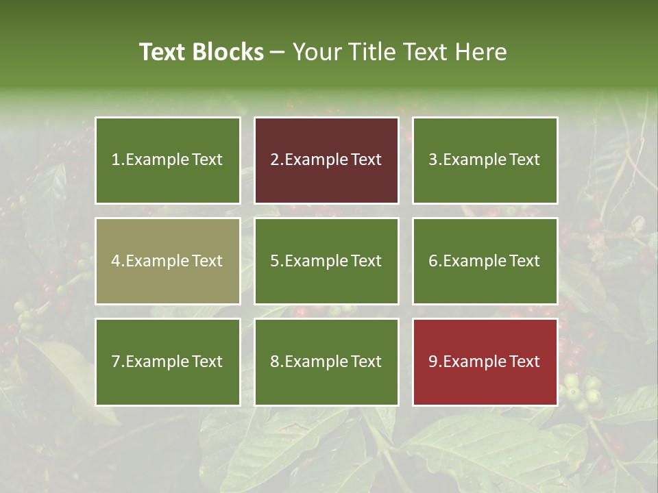 Ripe Coffee Berries PowerPoint Template