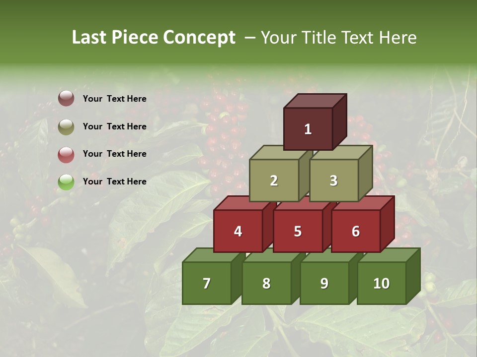 Ripe Coffee Berries PowerPoint Template