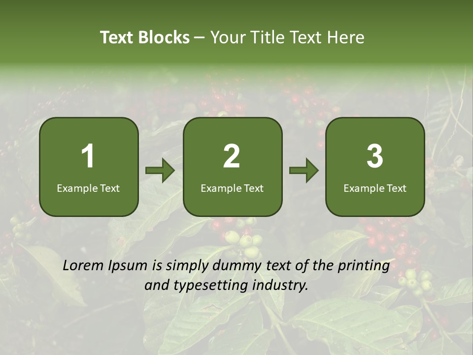 Ripe Coffee Berries PowerPoint Template