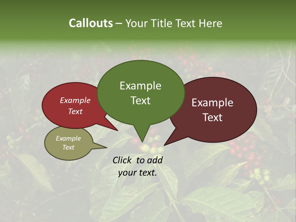 Ripe Coffee Berries PowerPoint Template