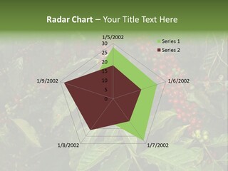 Ripe Coffee Berries PowerPoint Template