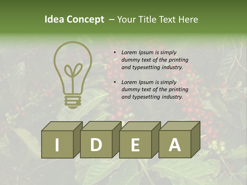 Ripe Coffee Berries PowerPoint Template