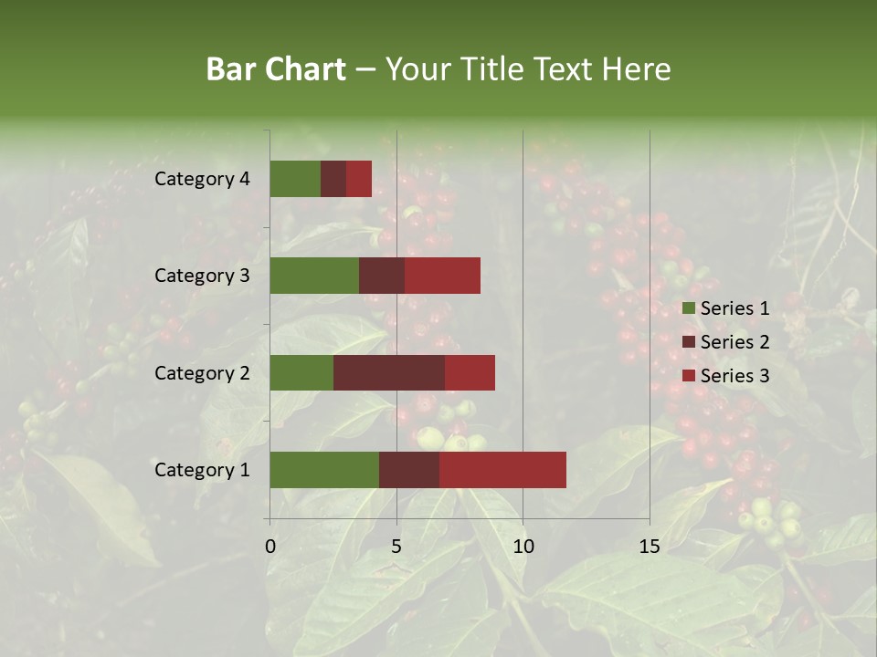 Ripe Coffee Berries PowerPoint Template