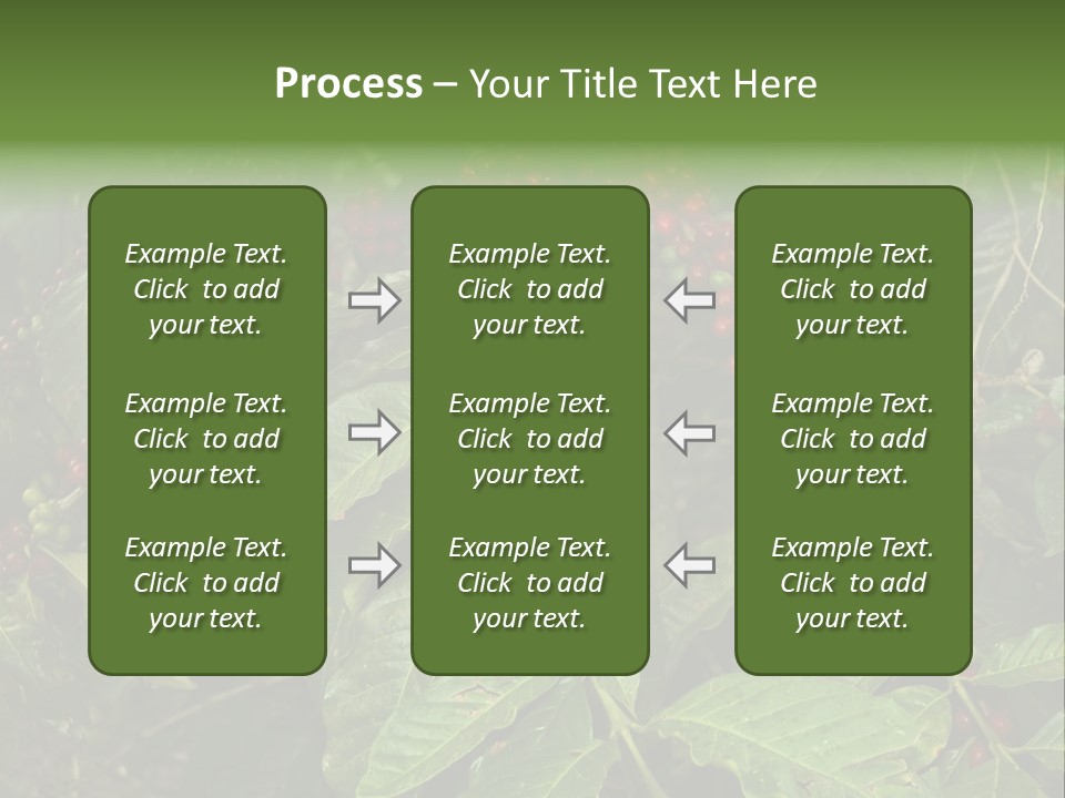 Ripe Coffee Berries PowerPoint Template