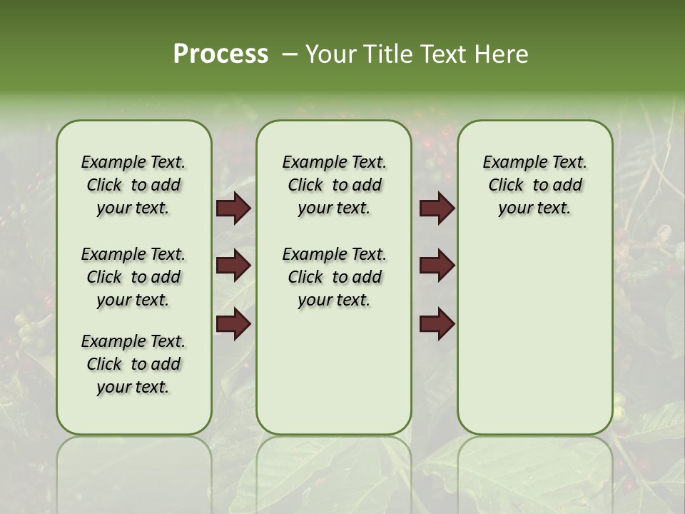 Ripe Coffee Berries PowerPoint Template