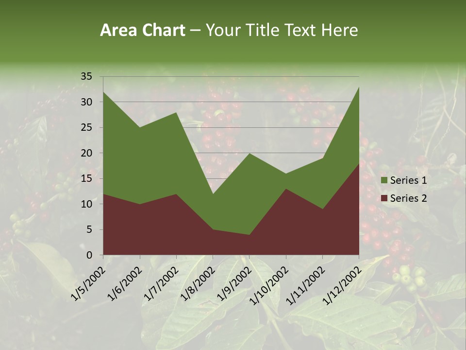 Ripe Coffee Berries PowerPoint Template