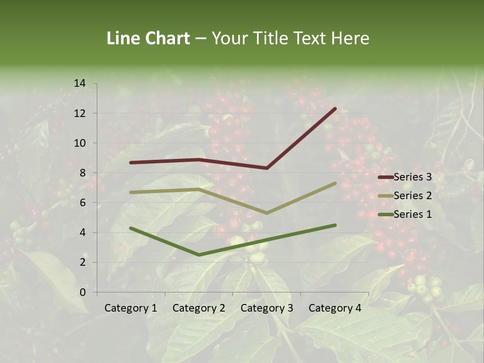 Ripe Coffee Berries PowerPoint Template