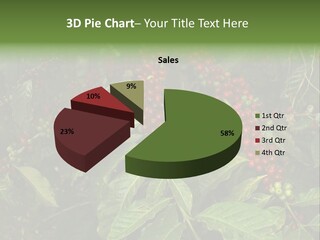 Ripe Coffee Berries PowerPoint Template