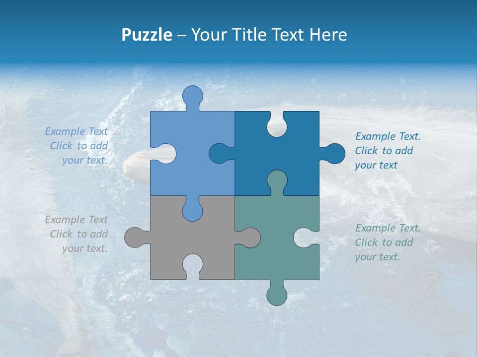 Dolphins PowerPoint Template