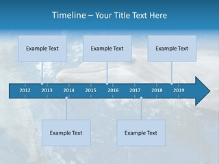 Dolphins PowerPoint Template