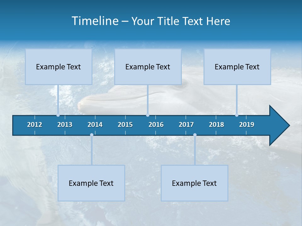 Dolphins PowerPoint Template