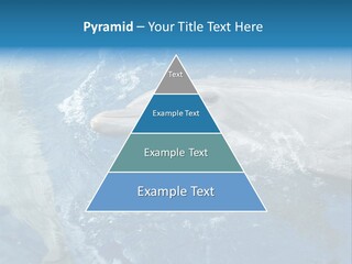 Dolphins PowerPoint Template