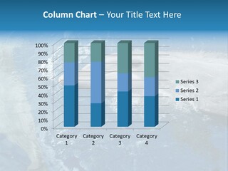 Dolphins PowerPoint Template