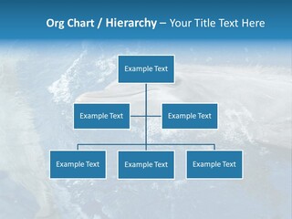 Dolphins PowerPoint Template