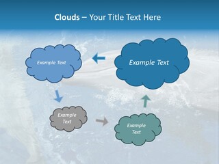 Dolphins PowerPoint Template