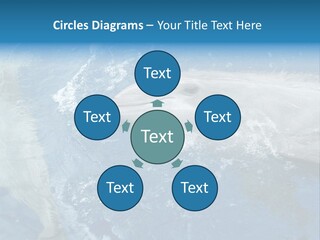 Dolphins PowerPoint Template
