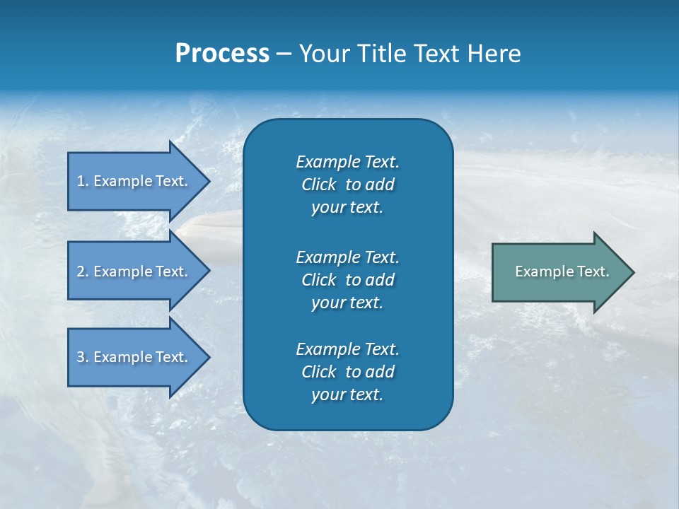 Dolphins PowerPoint Template