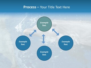 Dolphins PowerPoint Template