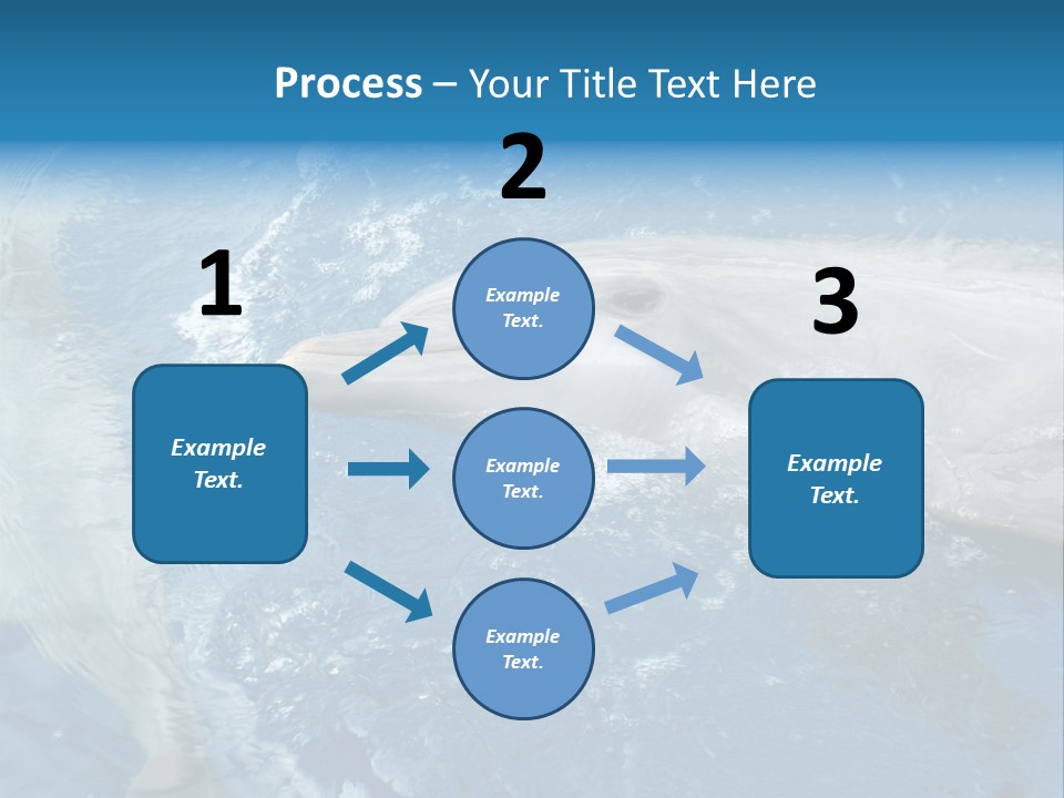 Dolphins PowerPoint Template